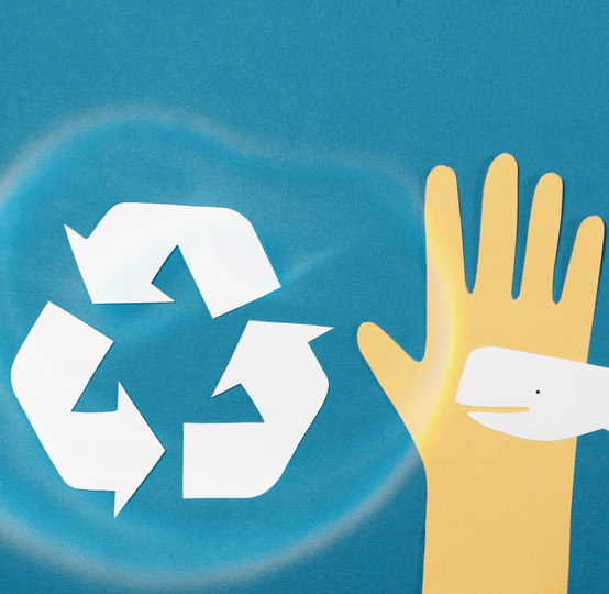 campaña de sensibilizacion y reciclaje del plastico