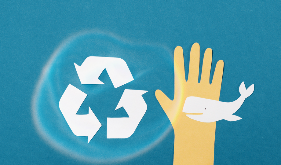 campaña de sensibilizacion y reciclaje del plastico